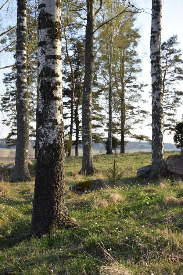 Villa Skogsbacka Raseborg Eksteriør billede